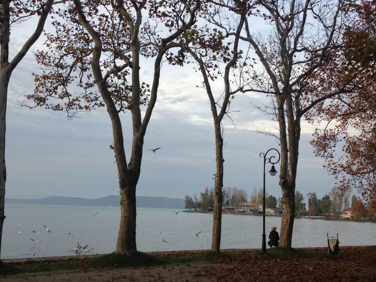 Tamas Apartman Balatonfoeldvar Sziveben- Egesz Evben Nyitva! Екстериор снимка