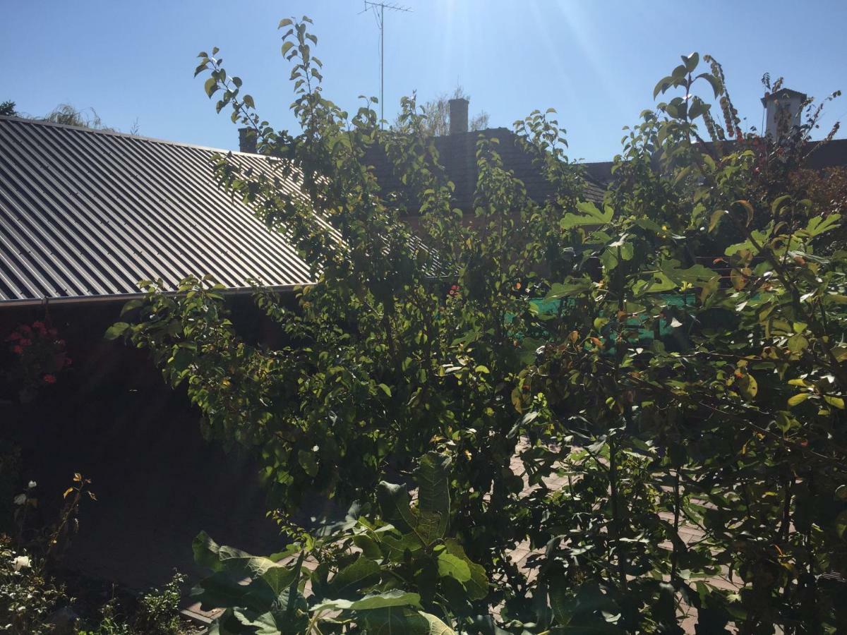 Tamas Apartman Balatonfoeldvar Sziveben- Egesz Evben Nyitva! Екстериор снимка