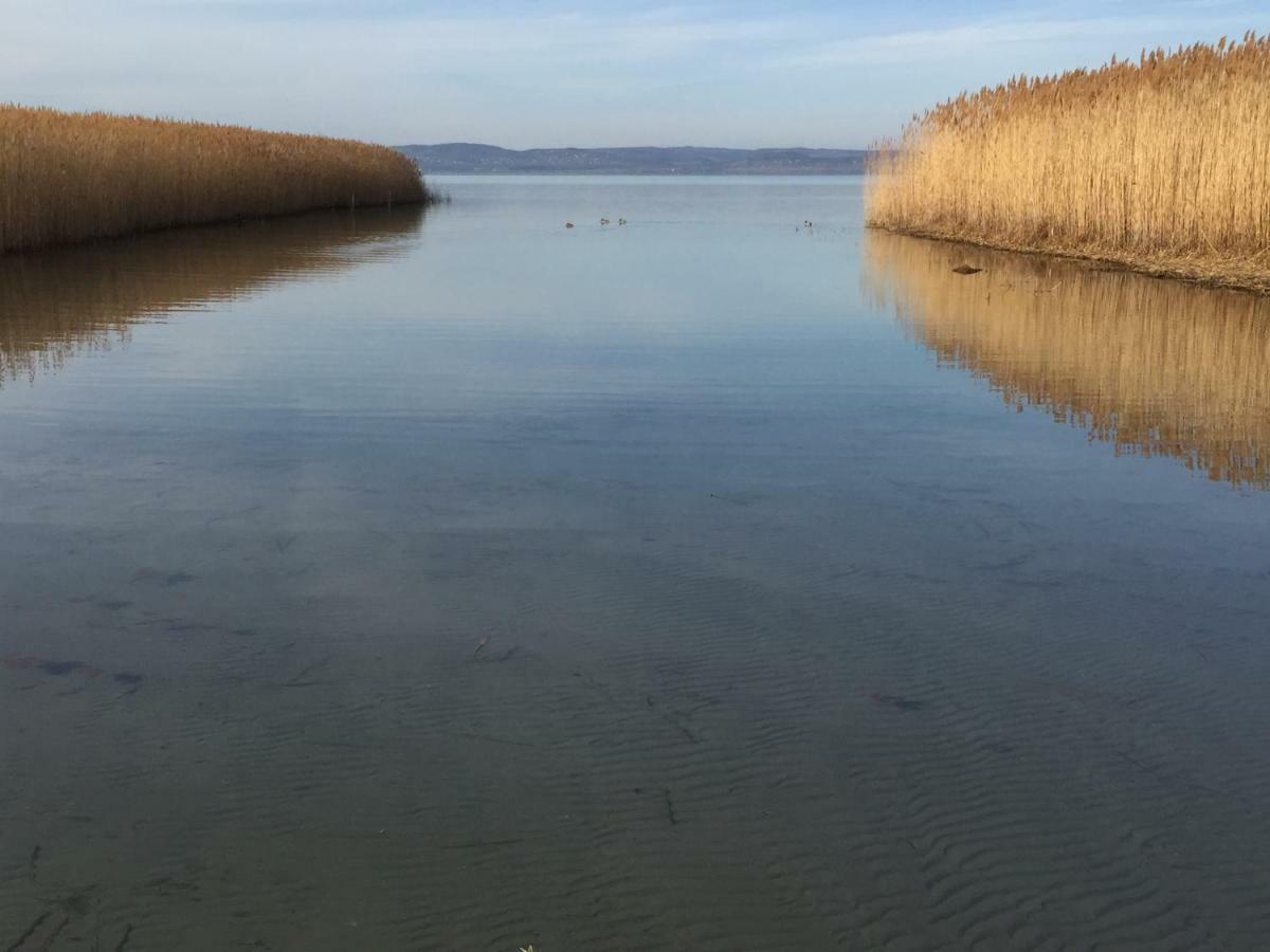 Tamas Apartman Balatonfoeldvar Sziveben- Egesz Evben Nyitva! Екстериор снимка